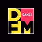 DFM Пермь logo