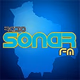 Radio Sonar FM logo