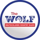 The WOLF - Göttingen / Harz logo