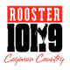 Rooster 101 logo