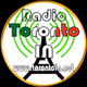 Toronto Italian Network - Radio Toronto IN logo