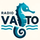 Radio Vasto logo