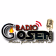 Radio Gosen logo