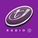 Rádio T Irati logo