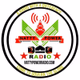 Natty Power Radio logo