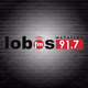 Lobos FM 91.7 - XHTLAN logo