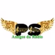 PS Rádio logo