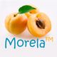 MorelaFM logo