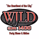 104.1 FM WJLD - W281AB Logo