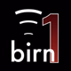 The BIRN - BIRN1 logo