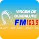 Logo de FM Virgen de Guadalupe