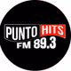 Punto Hits FM 89.3 logo