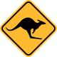 Kangaroo logo