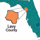 levyHitsRadio logo