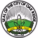 Oak Ridge / Anderson County, TN Sheriff, Police logo
