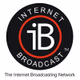 The iB Network logo