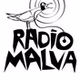 Ràdio Malva 104.9 FM logo