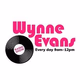 The Wynne Evans Show logo