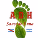 ADH Sauce de Luna logo