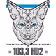 Coyote New Country - CHAA-HD2 logo