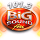 101.3 Big Sound FM - DWDC logo
