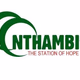 Nthambi Fm logo