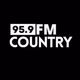 Country 95.9 Fm logo