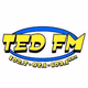 Ted FM - KRVX-HD2 logo