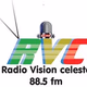 Radio Vision Celeste logo
