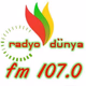Adana Radyo Dünya logo