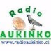 Logo de Radio Mapuche Aukinko