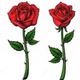 Logo de RoseLabel