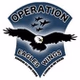 Operation Eagles Wings - US Military Killed in War logo
