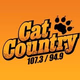 Cat Country 107.3 and 94.9 - KCIN Logo