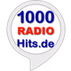 1000 Webradios - 1000 Radio Hits logo