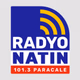 Radyo Natin Paracale - DZVN logo