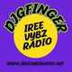 Iree Vybz Radio Logo