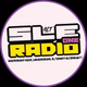 SLE RADIO logo